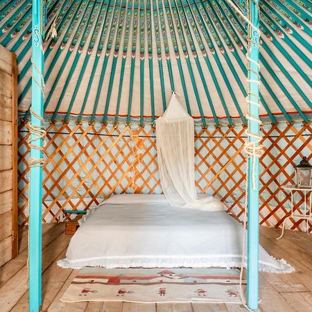 Alpaca Country House Pontedera Ngoại thất bức ảnh