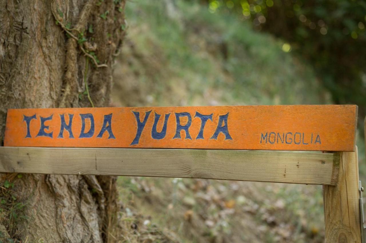 Alpaca Country House Pontedera Ngoại thất bức ảnh