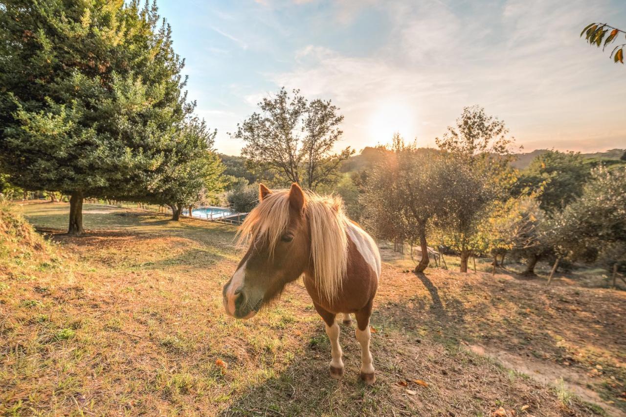 Alpaca Country House Pontedera Ngoại thất bức ảnh